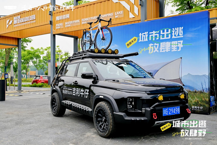 图片3