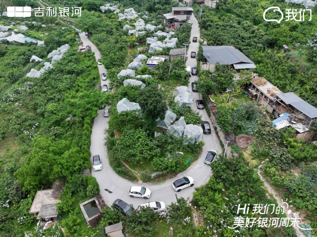 图片7