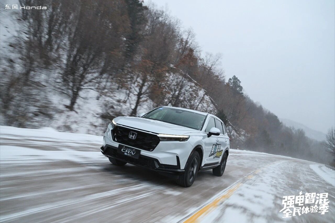 微信图片_2026-01-14_145713_598